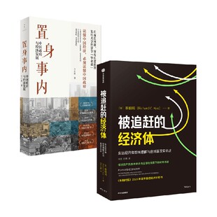 兰小欢等 被追赶 经济体 置身事内 经济 著