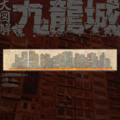 香港九龙城寨全景剖面图长图海报