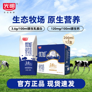 12盒钻石装 光明优加纯牛奶200ml 3.6g乳蛋白早餐奶 11月产