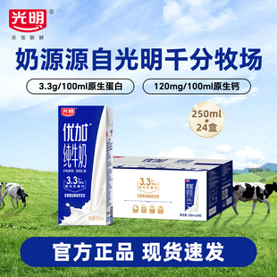 24盒 光明优加纯牛奶250ml 整箱学生儿童营养早餐奶 11月产