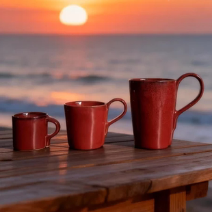 比利时serax咖啡杯 红色水杯 马克杯情侣对杯 情人节系列礼盒