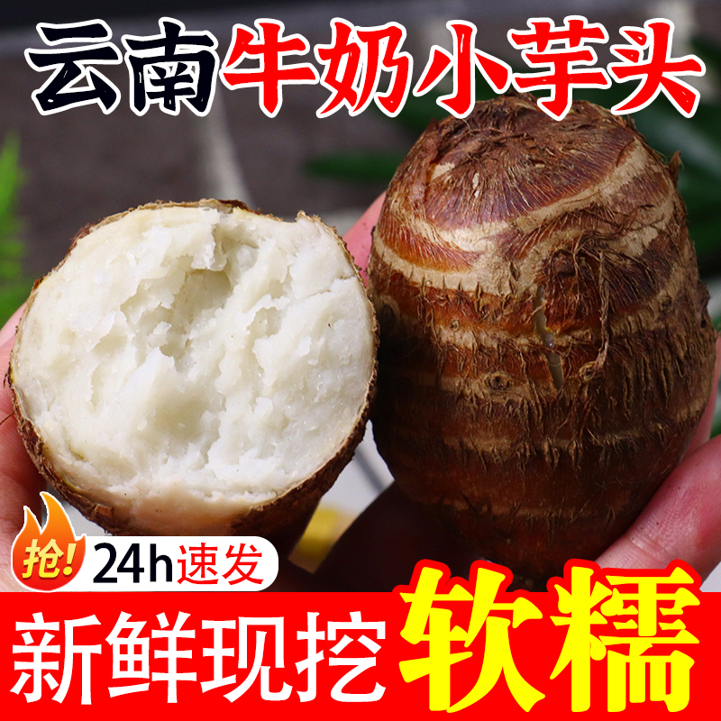 现挖新鲜云南高山毛芋头粉糯香甜