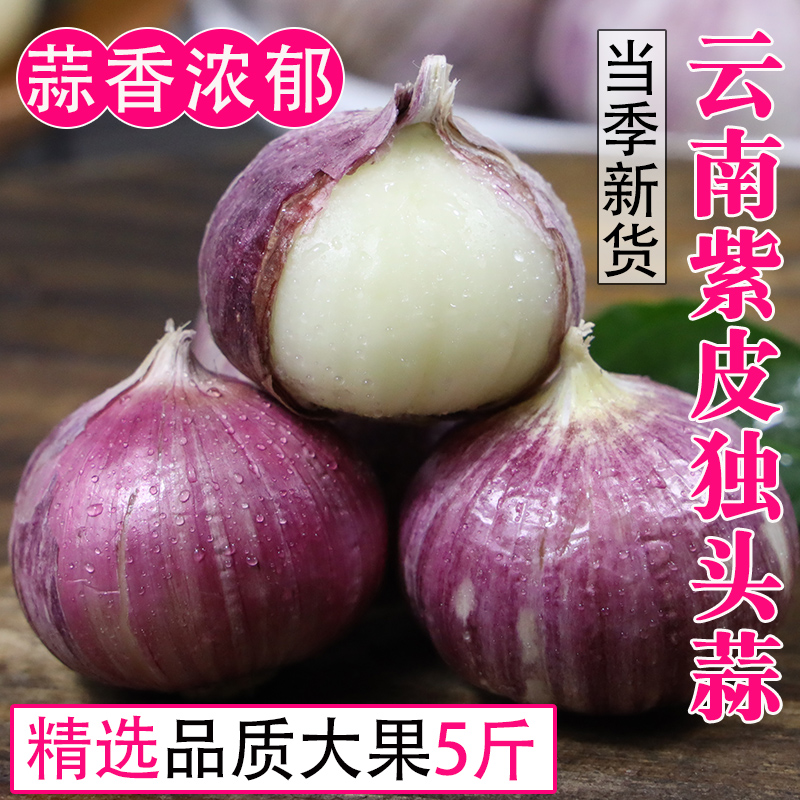 品质中果云南新鲜紫皮独头蒜