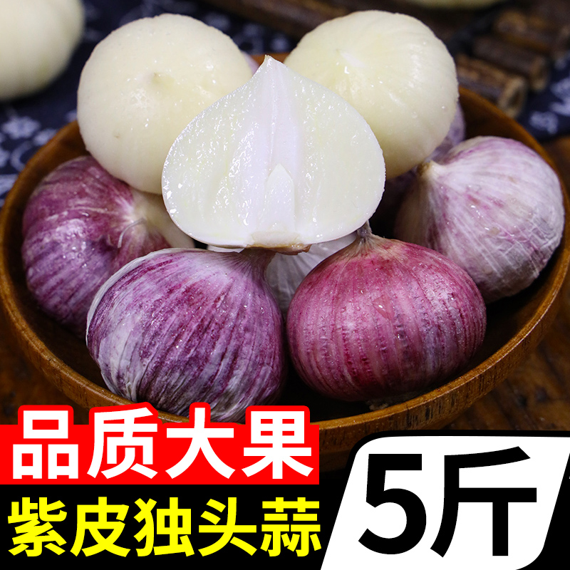 2025云南紫皮独头蒜特大干大蒜
