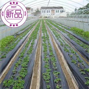 辣f椒农用地膜地面除草增温黑地膜除草膜农用地布专用整卷黑膜果