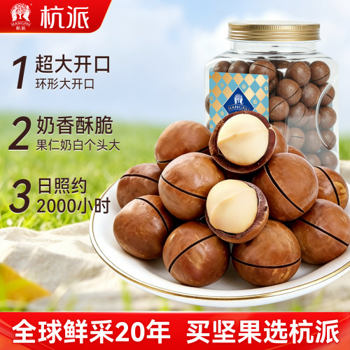 杭派夏威夷果500g罐装