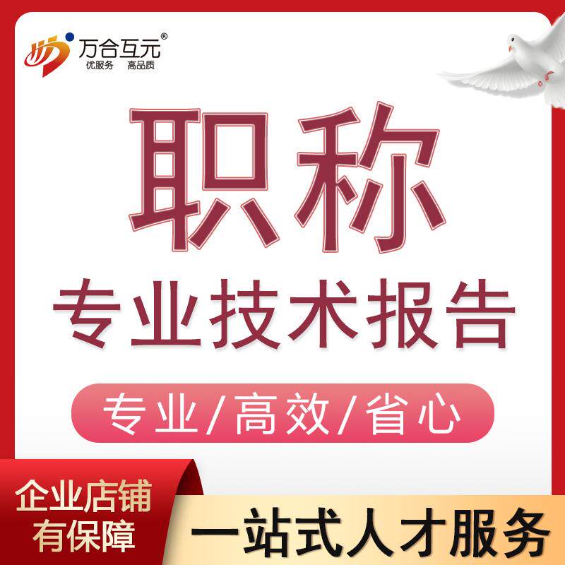 代写工程师个人专业项目技术报告商务服务
