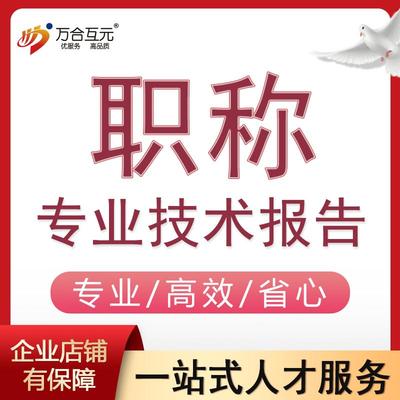 代写工程师个人专业项目技术报告处助理职称工作总结经历汇报编写