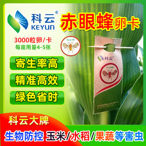 赤眼蜂稻螟螟黄松毛虫玉米抛卵球