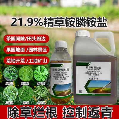 21.9%精草铵膦铵盐除草烂根专用药果园荒地铁路非耕地除杂草农药