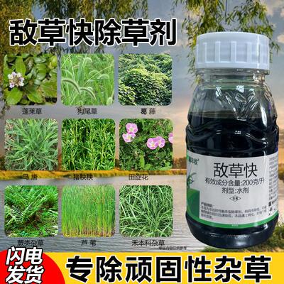 20%敌草快除草剂荒地果树园林除草死根烂根剂快速除杂草神剂正品