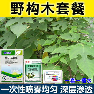 草甘三氯吡除草烂根套餐见效快灌木拉拉藤杂草开荒农药正品套餐