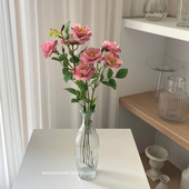 饰摆件客厅餐桌插花水养竖纹小花瓶 ins风透明玻璃花瓶装 元 气角落