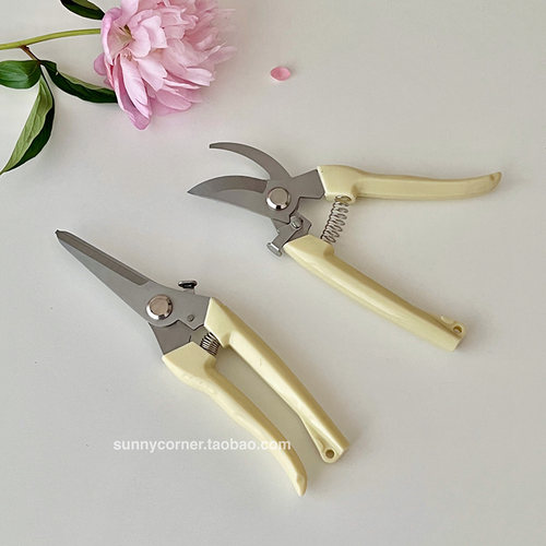 ins风不锈钢园艺修花剪刀修枝剪