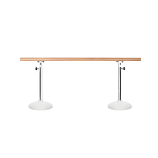 蟲子乐器舞蹈把杆