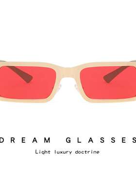 2024新款欧美小框太阳镜 金属朋克潮流太阳眼镜 个性时尚小脸墨镜