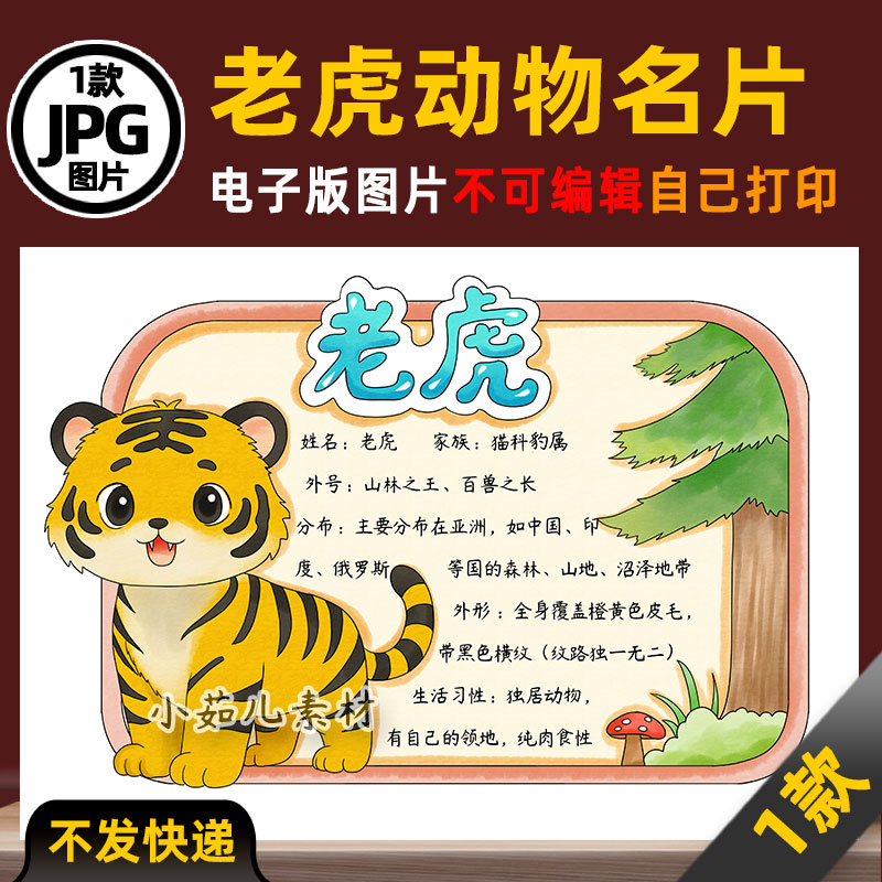 1146【电子版】老虎动物名片动物卡片动物观察手抄报线稿图片