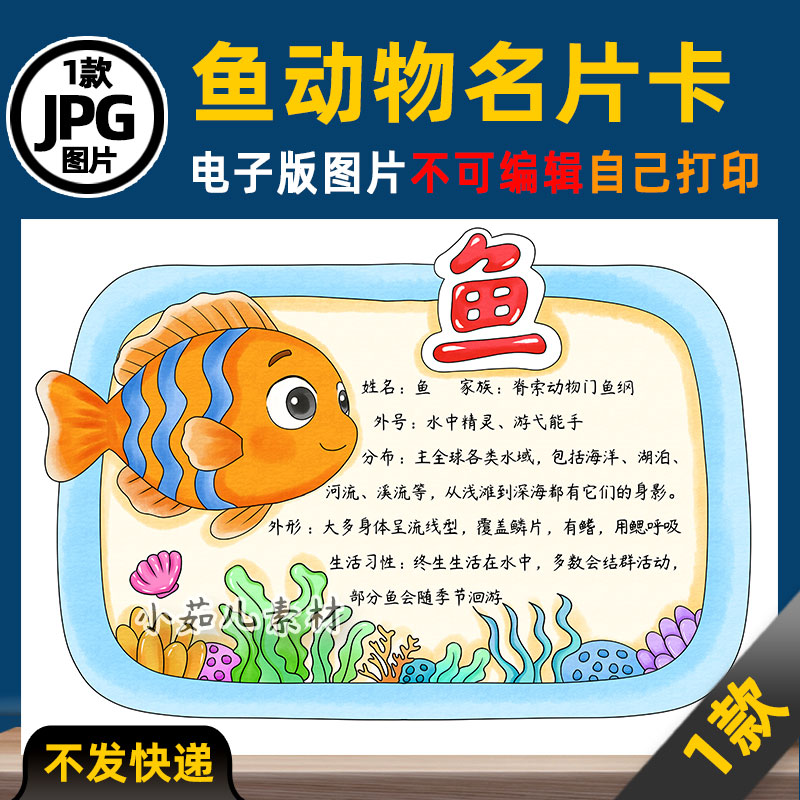 1150【电子版】鱼动物名片动物卡片动物观察手抄报线稿
