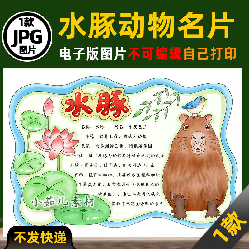 1055水豚手抄报卡皮巴拉动物名片观察动物电子版线稿可打印图片