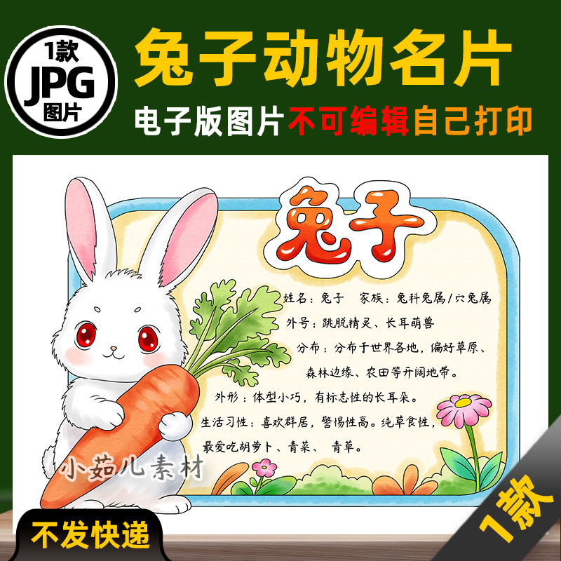1147【电子版】小白兔子动物名片动物卡片动物观察手抄报线稿