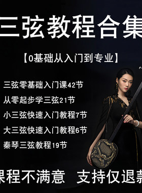 三弦入门课程视频教程教学技巧初学者全集弦乐器指法学习自学在线