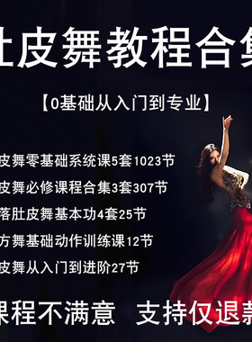 自学东方舞肚皮舞入门视频教程舞跳舞进阶全集热门高清舞者教学课