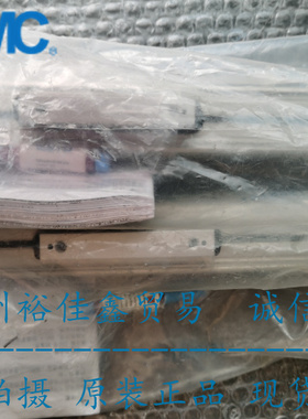 FESTO原装正品无杆气缸DGC-K-18-100-PPV-A-GK 1312500 现货