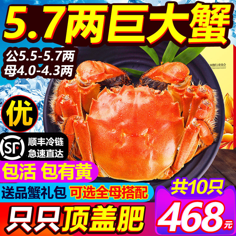 鲜活现货大闸蟹10只全公母特大螃蟹阳澄湖镇海鲜水产清水湖蟹礼盒在类目 水产肉类/新鲜蔬果/熟食, 海鲜/水产品/制品, 蟹类, 大闸蟹中 - 来自Buy2taobao.com提供专业的淘宝代购服务