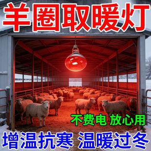 升级款养殖升温灯羊圈取暖抗寒持久保暖羊过暖冬抗寒增温养殖专用