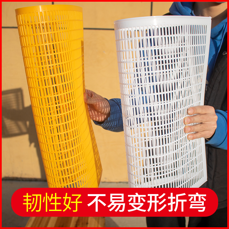 塑料隔王板中意专用养蜂工具图片