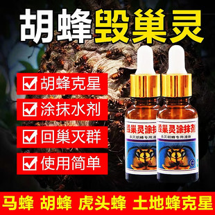 胡蜂毁巢灵杀胡蜂灭马蜂诱蜂水胡蜂克星涂抹剂胡蜂药三天净蜜蜂箱