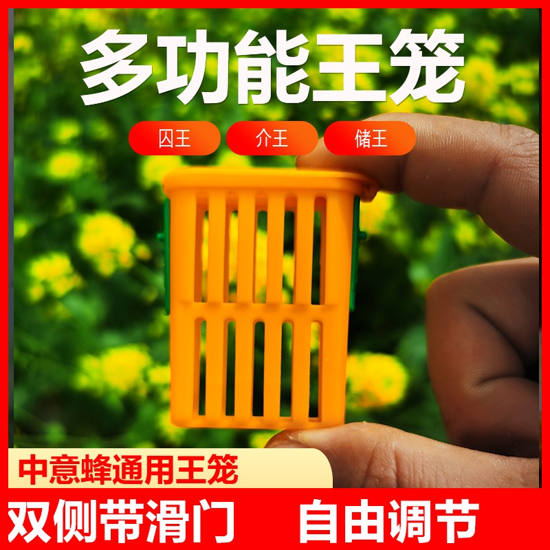 多功能囚王笼塑料防逃工具中意蜂专用介王笼装蜂王储王器隔王工具