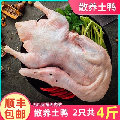 顺丰包邮鸭子农家散养鸭土鸭鸭子肉鸭现杀新鲜冷冻鸭肉冷冻鸭肉