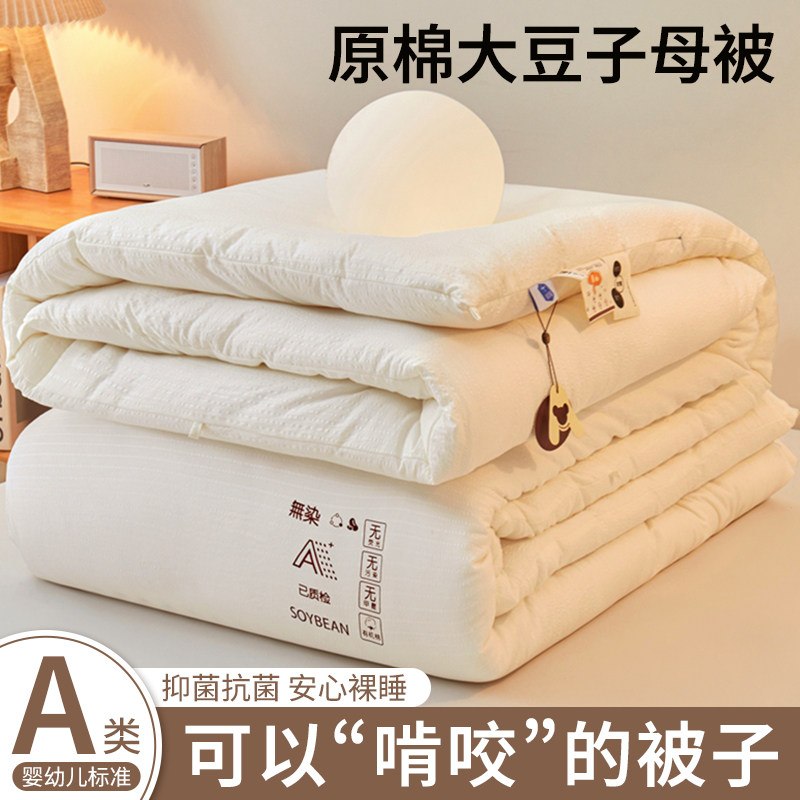 A类大豆纤维被子冬被春秋被加厚保暖四季通用棉被被芯子母被单人