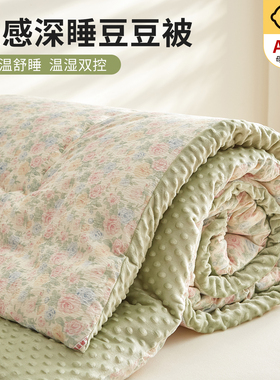 双层纱豆豆绒冬被春秋被加厚保暖冬季棉被芯可机洗学生单人空调被