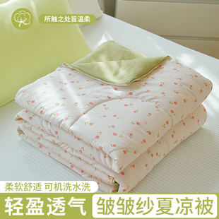 淡雅清新风小碎花夏凉被超柔皱皱纱空调被AB版 双面被床上用品