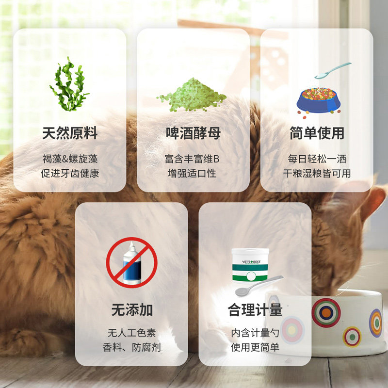 绿十字猫咪洁牙粉猫洁齿粉去牙结石除口臭嘴臭宠物口腔清洁用品