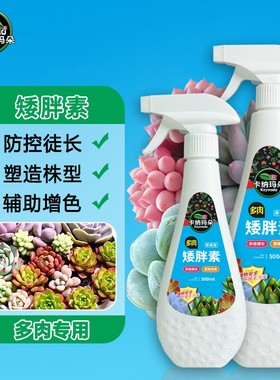 矮胖素多肉太阳花防徒长控型增肥增色植物营养液园艺花肥