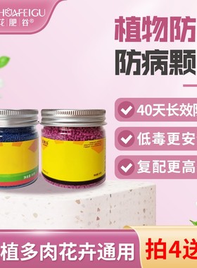 【买一送一宠粉】花肥谷小蓝小粉组合绿植多肉花卉用养护套餐园艺