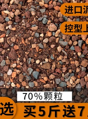 【买五斤送七斤】多肉颗粒土专用营养土配方疏松透气有机发根思威