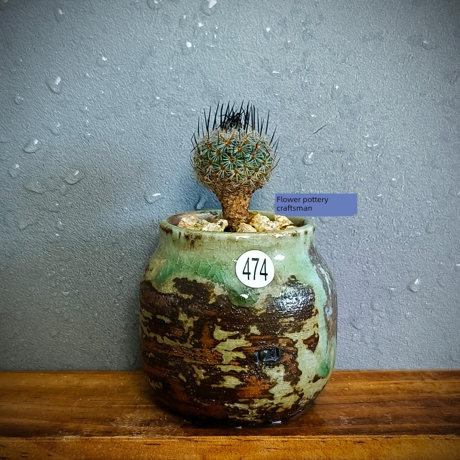 景德镇手工多肉花盆罐姐妹手绘胚胎小罐肉锥石花块根仙人掌