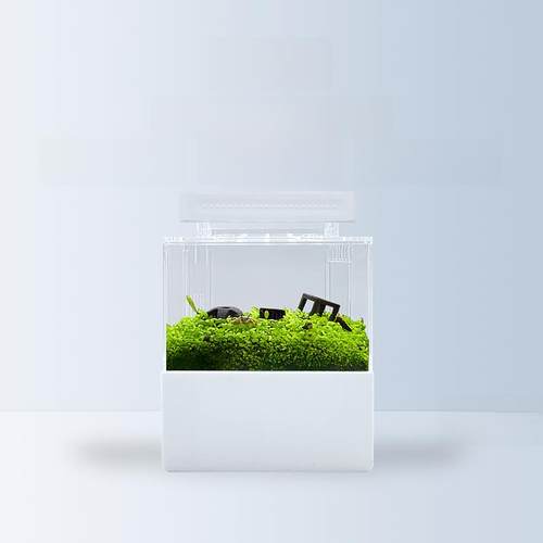 自循环小鱼缸底部过滤生态微缸办公室小桌面迷你创意水变化自由景