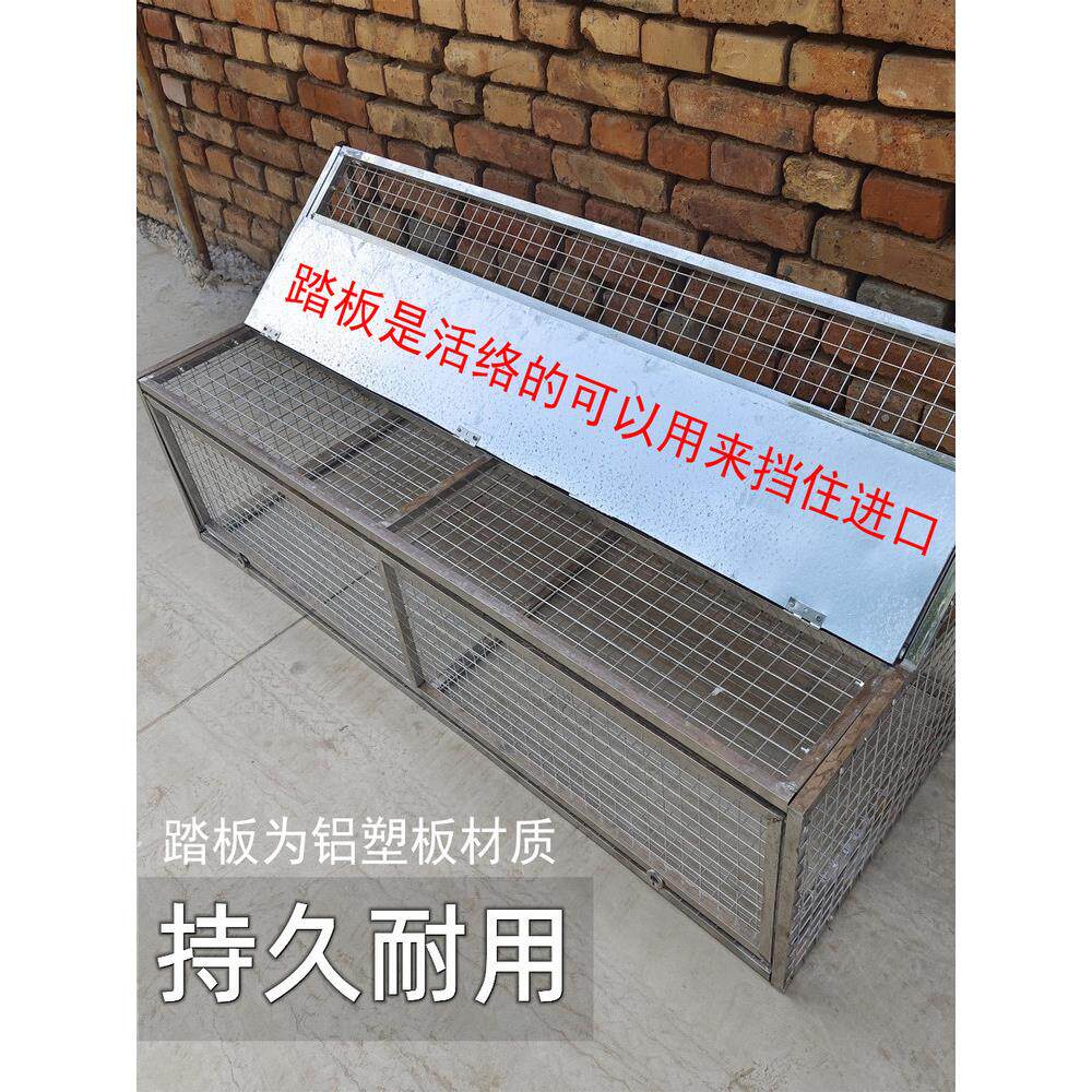 跳鸽笼不锈钢进出口赛鸽跳龙敲门信鸽进出自动跳鸽笼平台