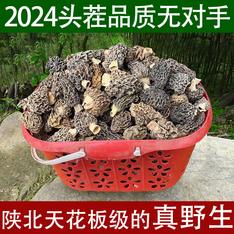 野生羊肚菌精选剪脚柄干货陕北延安天然羊蘑菇500g比任何产区更香 粮油调味/速食/干货/烘焙 羊肚菌 原图主图