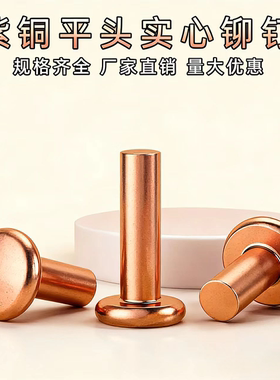 GB109紫铜平头铆钉实心铆钉铜钉敲击式平圆头柳钉Φ1.5M2M3M4M5M8