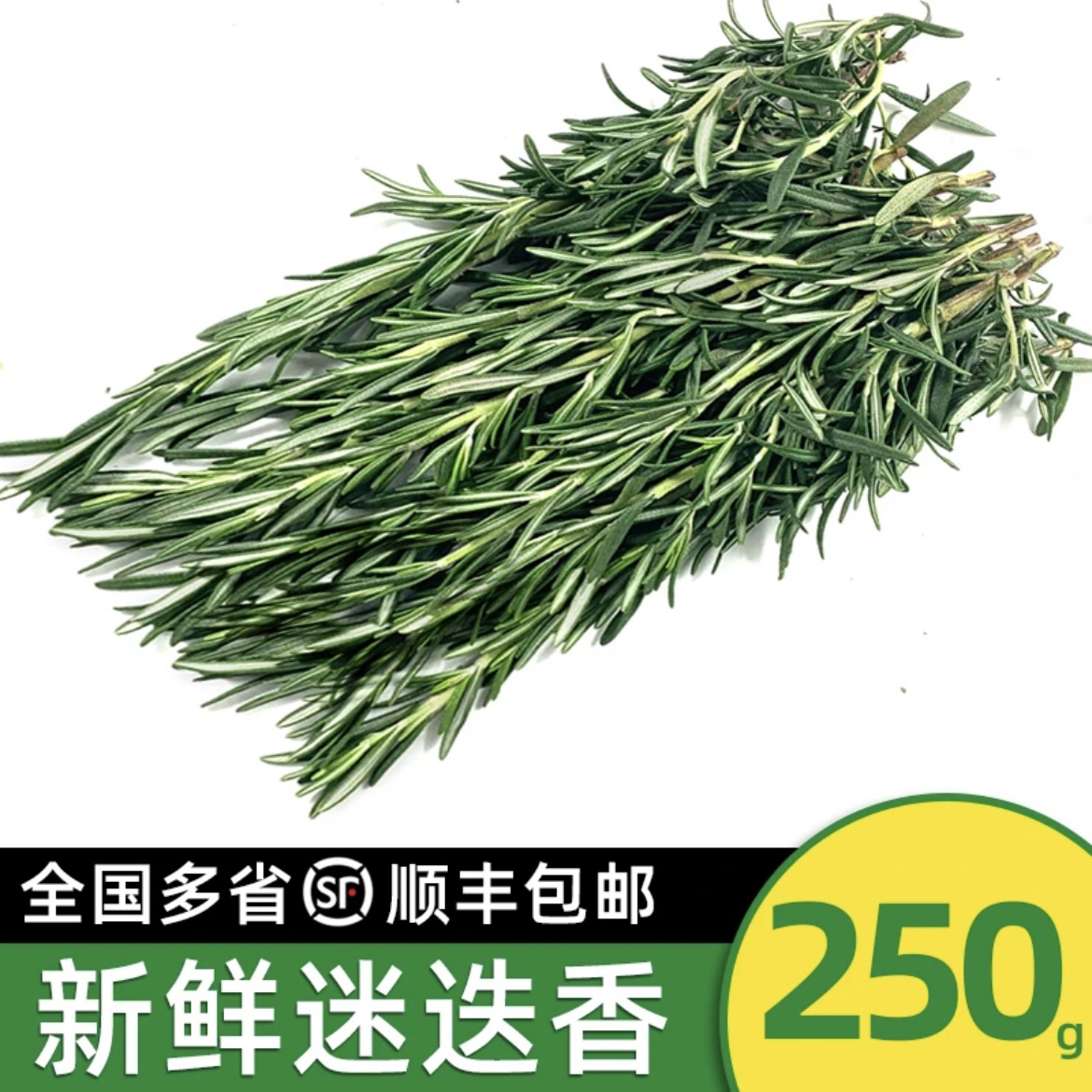 江南食材新鲜迷迭香西餐煎牛排烧烤食用香料调料同城一日达配送