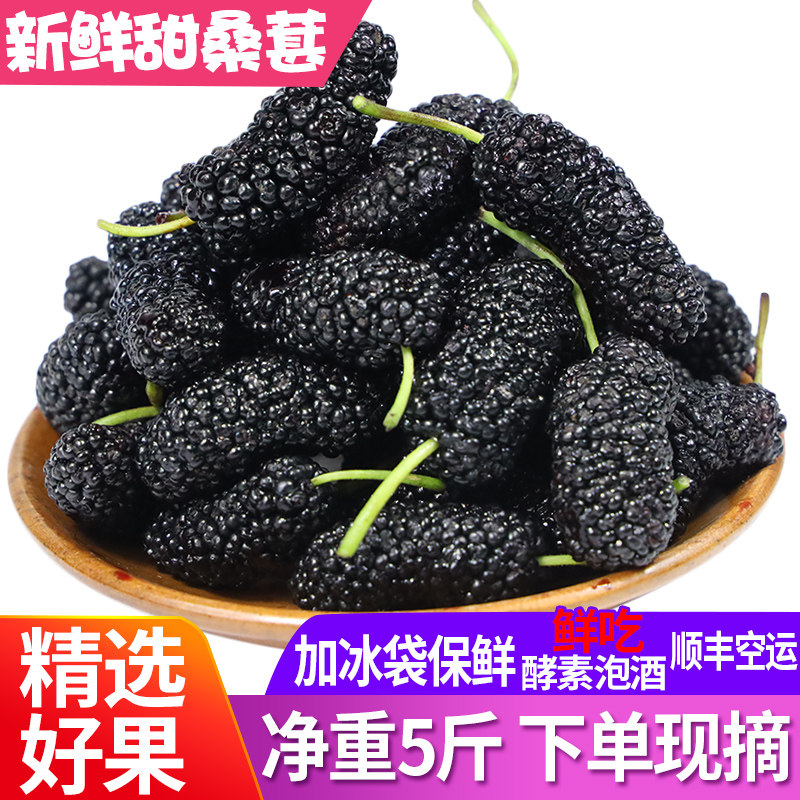凉山新鲜桑葚现摘现发黑桑椹鲜水果桑葚泡酒酵素非桑葚干包邮鲜果