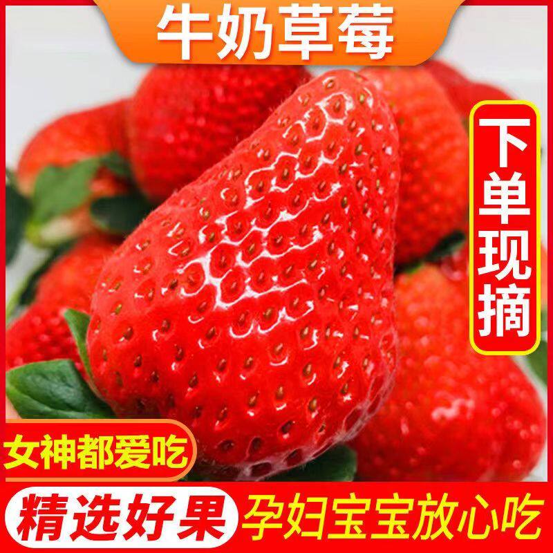 现摘新鲜草莓四川大凉山草莓水果奶油红颜99冬草莓甜当季孕妇水果高性价比高么？