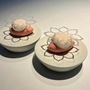 澳大利亚联邦科学与工业研究组织