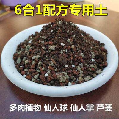 有机仙人球仙人掌颗粒土营养土花种专用型盆栽花泥播种肥料1kg